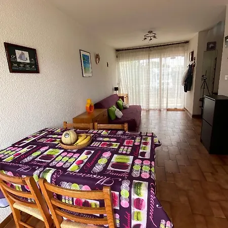 New Year Oportoducap In Cap Dagde